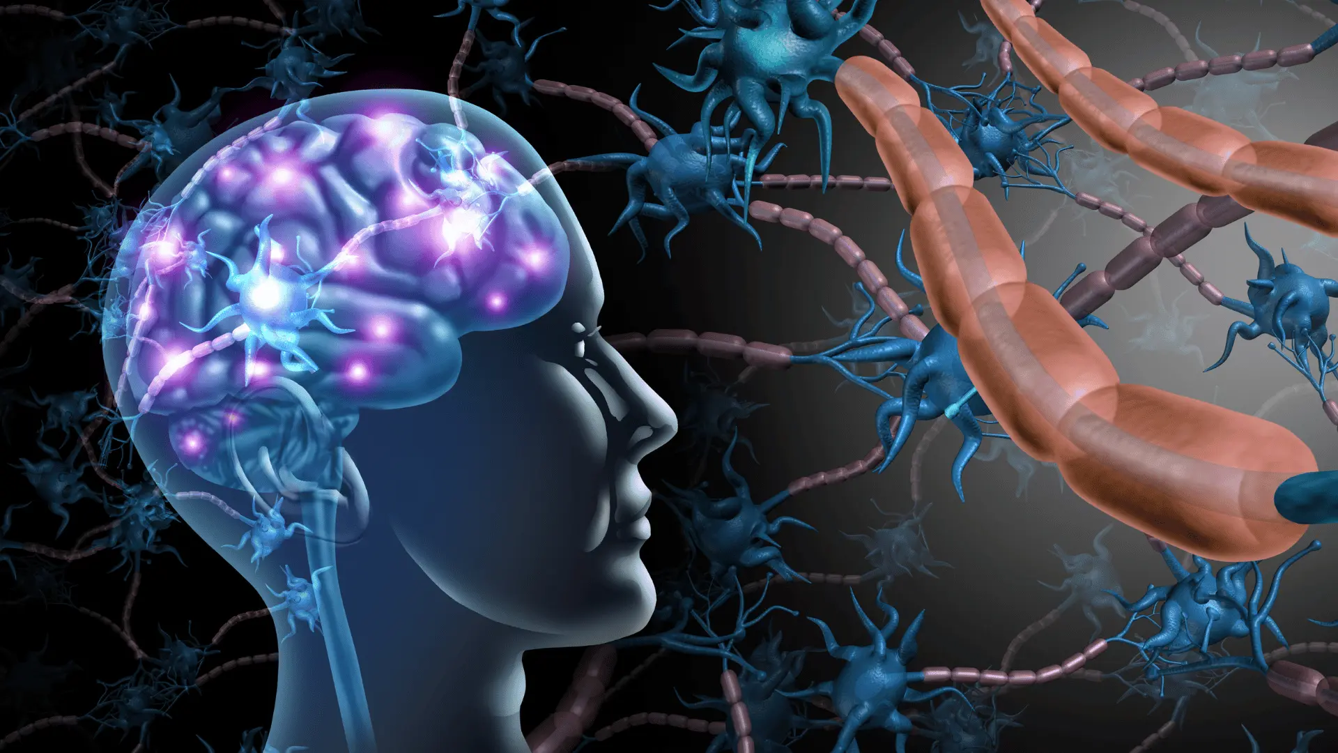 Brain and gut connection illustration