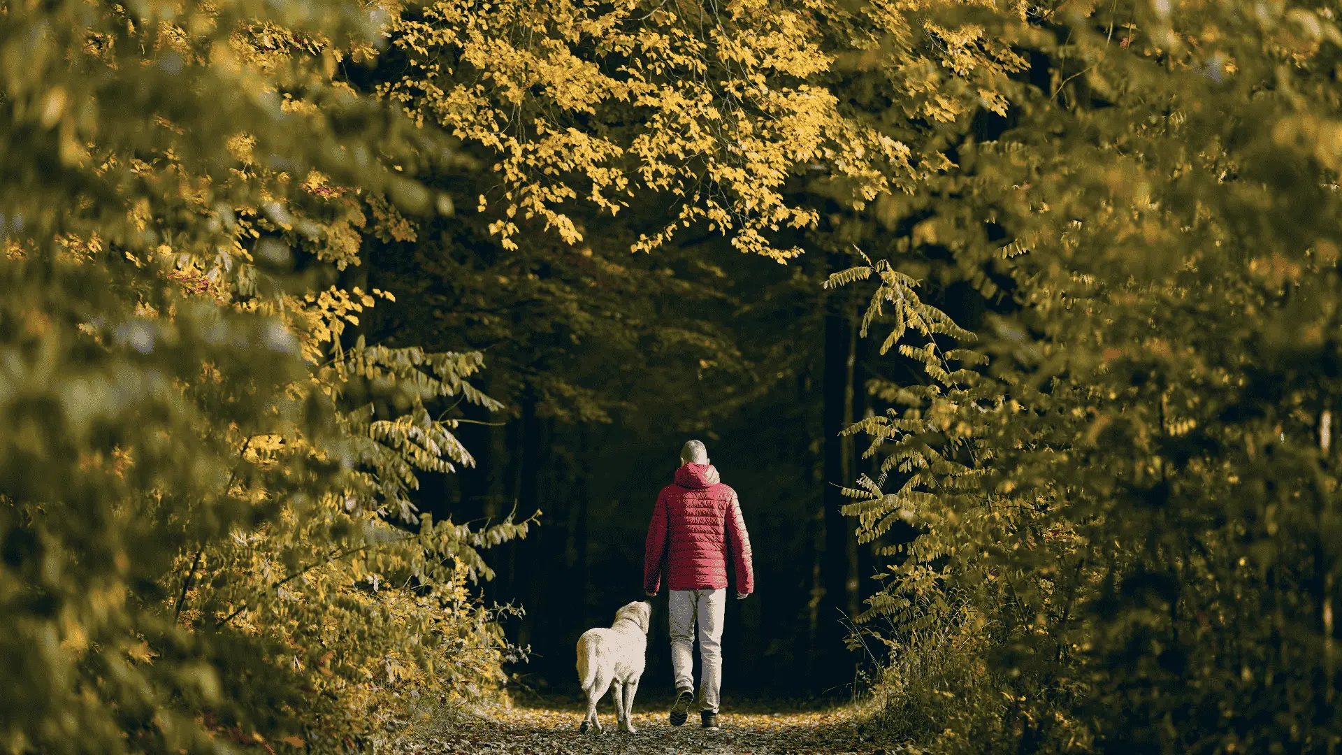 Meditation for GERD and anxiety relief